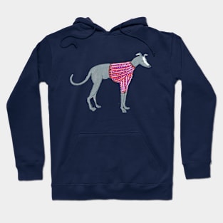 Greyhound In A Sweater Hoodie